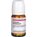 COLLINSONIA CANADENSIS D 6 tablets