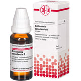 Collinsonia root, COLLINSONIA CANADENSIS mother tincture