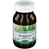 Barley grass UK