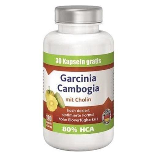 VIAVITAMINE Garcinia Cambogia and Choline supplement capsules 120 pcs UK