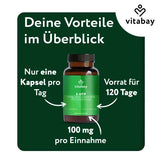 5-HTP 100 mg Griffonia + Vitamin B6 Capsules 120 count