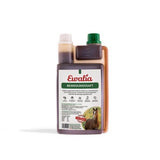 https://www.pestalozzi.de/documents/products/FotoGross/90107686.jpg?ver=1775041441
