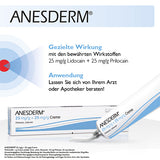 ANESDERM 25 mg-g + 25 mg-g Cream + 10 Patches