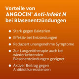 ANGOCIN Anti Infekt N film-coated tablets 60 pc