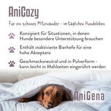 ANICOZY Vitamin B1+B2+B3+B6+B12+Zinc powder vet. 300g