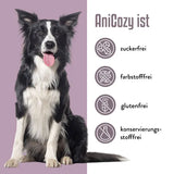 ANICOZY Vitamin B1+B2+B3+B6+B12+Zinc powder vet. 300g