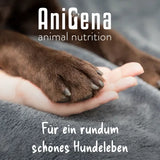 ANICOZY Vitamin B1+B2+B3+B6+B12+Zinc powder vet. 300g