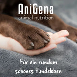 ANIFLORA Balance Psyllium Husk + Fiber Supplement for Dogs 60 g - 6