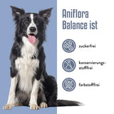 ANIFLORA Balance Psyllium Husk + Fiber Supplement for Dogs 60 g - 9