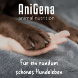ANIMOVE Collagen+Glucosamine+Chondr.MSM Plv.f.Dogs 200 g