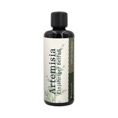 Artemisia – Annual Mugwort (with alcohol)
