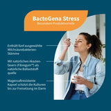 BACTOGENA Stress Bacteria Mixture+Vitamin B2 60 pieces