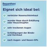 BEPANTHEN Dexpanthenol eye and nasal ointment 10 g