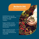 BERBERINE 500 Myo-Inositol & Piperine vegan capsules 60 pcs