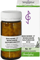 BIOCHEMISTRY 17 Manganum sulfuricum D 12 tablets UK