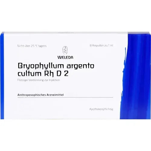 BRYOPHYLLUM ARGENTO cultum Rh D 2 ampoules