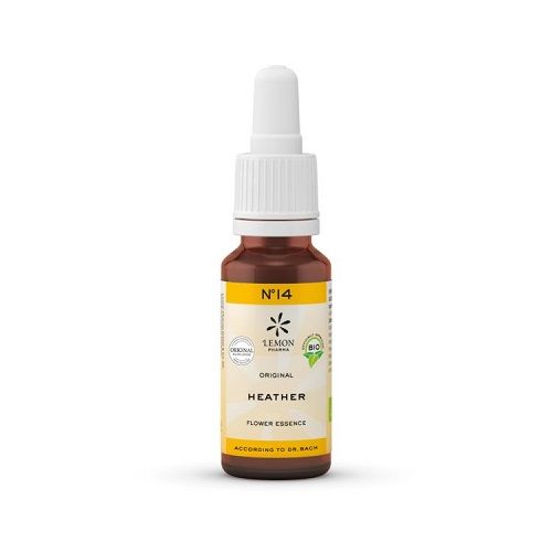 Blossom of attention Heather Organic