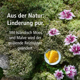 Bronchial cough syrup, Icelandic moss, Mallow blossom