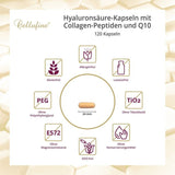 CELLUFINE Hyaluronic Acid 100 mg + Collagen + Q10 Capsules 120 pcs