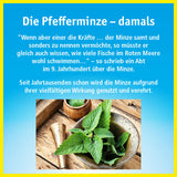 CHINA OIL with inhaler