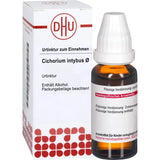 CICHORIUM INTYBUS mother tincture 20 ml