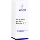 CICHORIUM PLUMBO cultum D 3 Dilution 50 ml