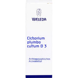 CICHORIUM PLUMBO cultum D 3 Dilution 50 ml