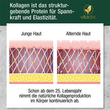 COLLAGEN POWDER