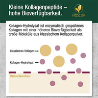 COLLAGEN POWDER