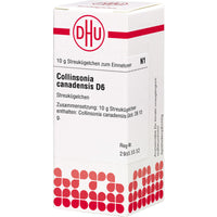 COLLINSONIA CANADENSIS D 6 globules