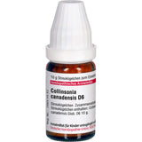 COLLINSONIA CANADENSIS D 6 globules