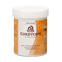 CORDYCEPS VITAL MUSHROOM Terra Mundo capsules