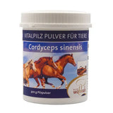 CORDYCEPS VITAL MUSHROOM powder for animals