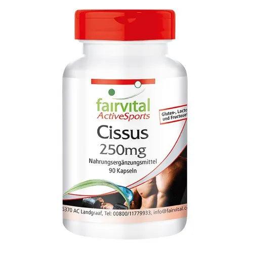 Cissus Capsules UK