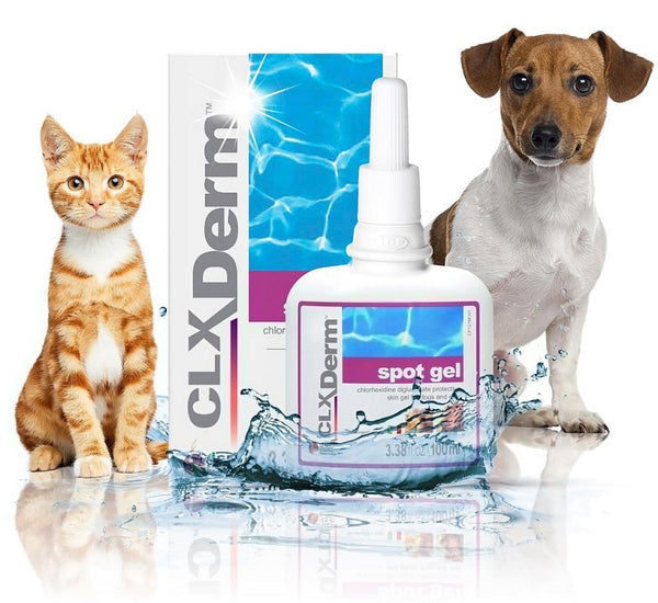 Clorexyderm Spot Gel Disinfectant for dogs and cats