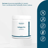 Collagen Pro Hyaluronic Acid + Vitamin C + Biotin Powder 330 g - 9