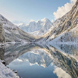 Colloidal Silver 500 PPM Concentrate 50 ml