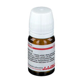 Conchiolin (Conchiolinum) MATER PERLARUM D 12 tablets 80 pcs