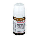 Conchiolin (Conchiolinum) MATER PERLARUM D 12 tablets 80 pcs