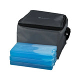 Cooler bag including cooling elements