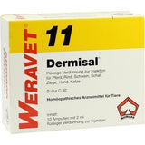 DERMISAL 11 ampoules vet.