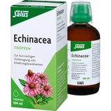 ECHINACEA DROPS  extract from coneflower root