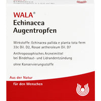 ECHINACEA EYE DROPS