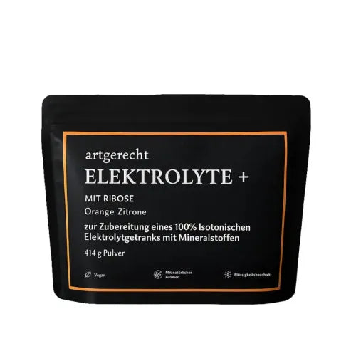 ELECTROLYTE Plus Powder Orange 414 g