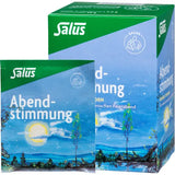 EVENING MOOD Herbal Tea Salus Filter Bags