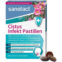 Echinacea, Echinaceapurpurea, coneflower, Cistus Infection Pastilles