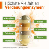 Enzyme Complex with Bacillus coagulans Capsules 90 pieces