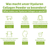 FAIRNATURAL Collagen Hyaluron+Vitamin C powder