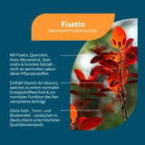 FISETIN+Quercetin+Spermidine+Vitamin B3 vegan caps. 90 pieces