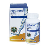 For joints, muscles, ligaments, cartilage and tendons, CHONDRO ALTAI tablets